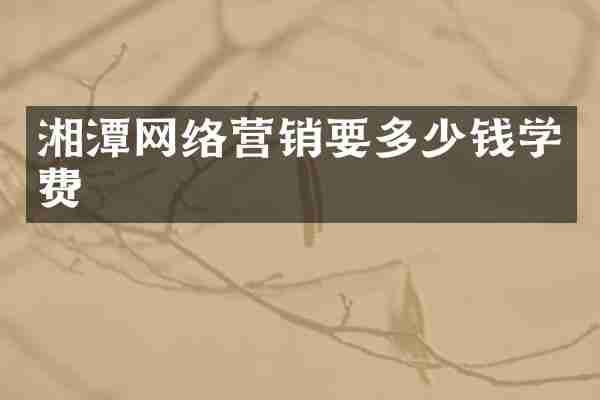 湘潭网络营销要多少钱学费