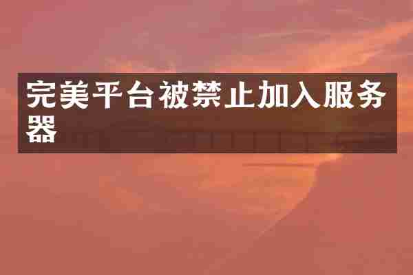 完美平台被禁止加入服务器
