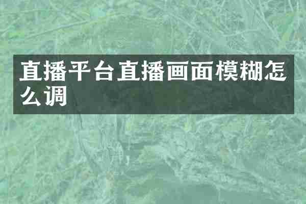 直播平台直播画面模糊怎么调