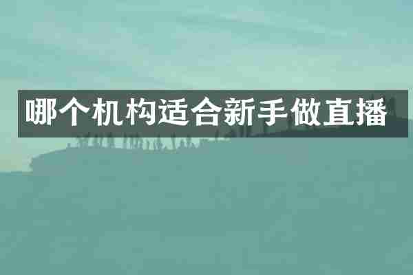 哪个机构适合新手做直播