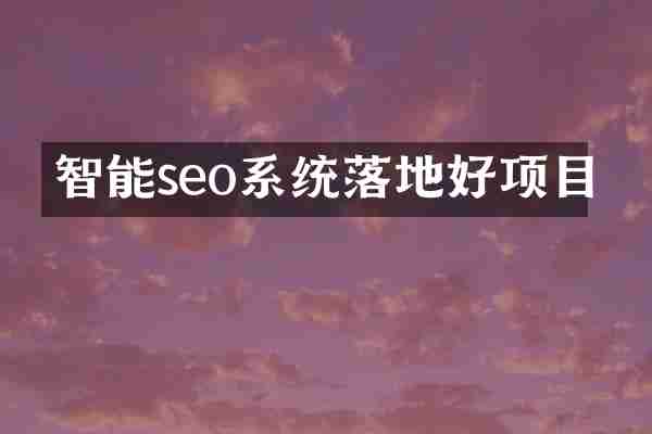 智能seo系统落地好项目