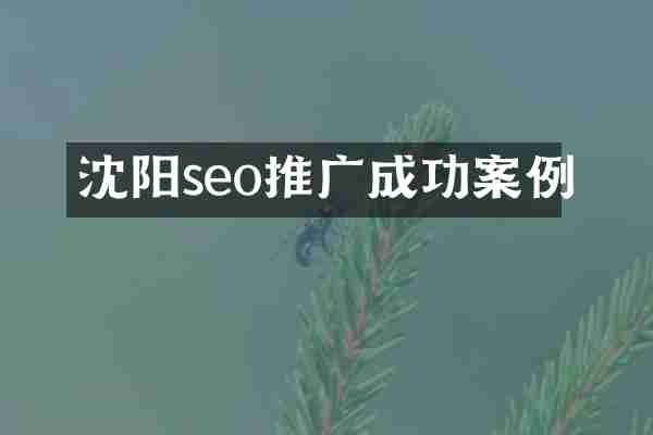 沈阳seo推广成功案例