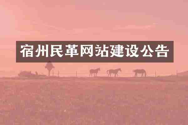 宿州民革网站建设公告