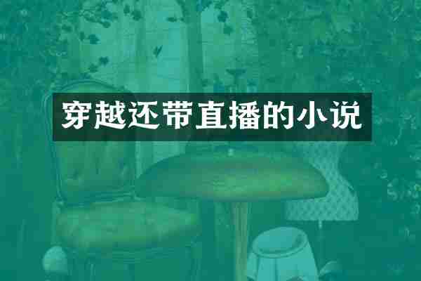 穿越还带直播的小说