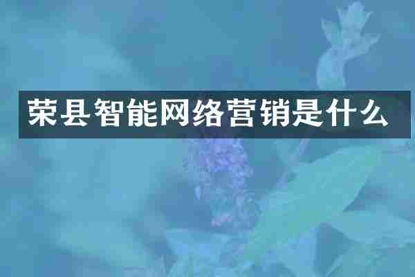 荣县智能网络营销是什么