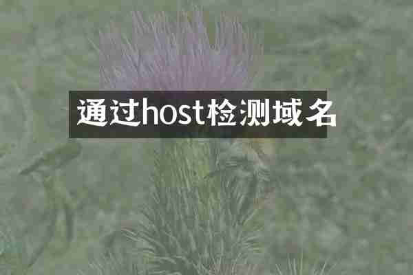 通过host检测域名