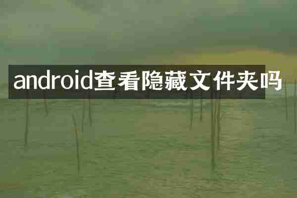 android查看隐藏文件夹吗