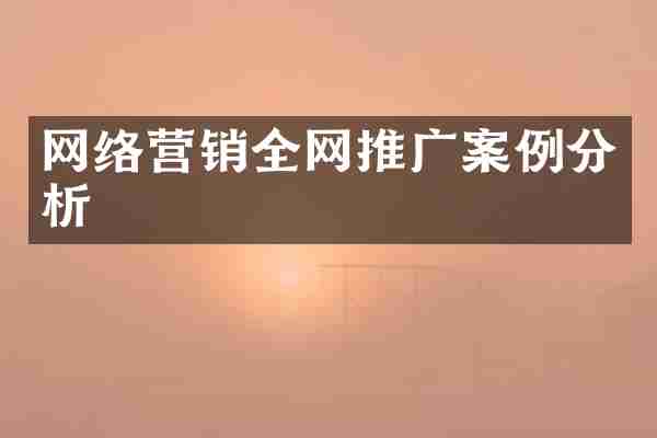 网络营销全网推广案例分析
