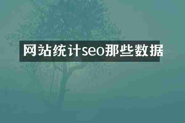 网站统计seo那些数据