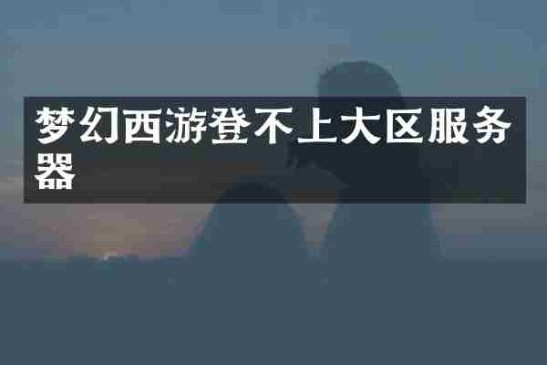 梦幻西游登不上大区服务器
