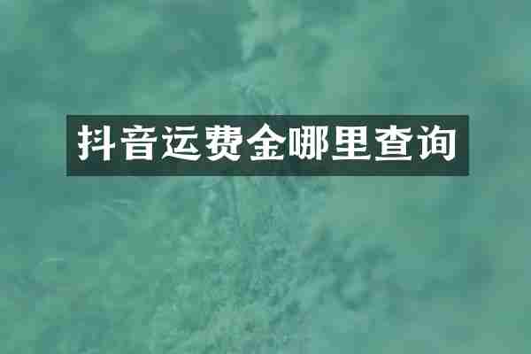 抖音运费金哪里查询
