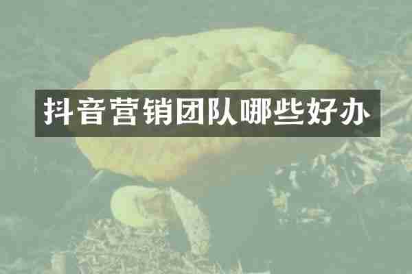 抖音营销团队哪些好办