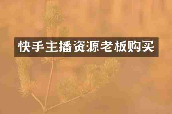 快手主播资源老板购买