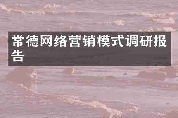 常德网络营销模式调研报告
