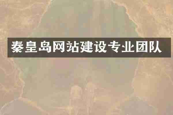 秦皇岛网站建设专业团队