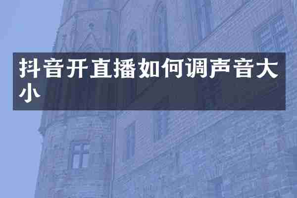 抖音开直播如何调声音大小