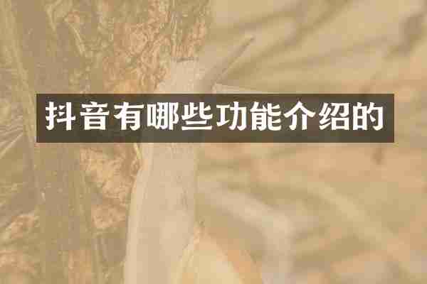 抖音有哪些功能介绍的