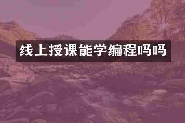 线上授课能学编程吗吗