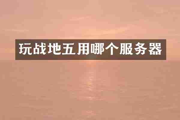 玩战地五用哪个服务器