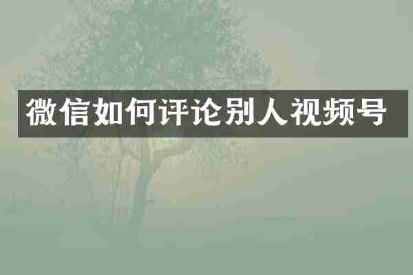 微信如何评论别人视频号