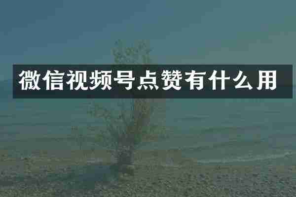 微信视频号点赞有什么用
