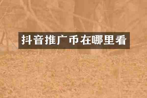 抖音推广币在哪里看