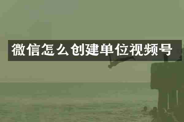 微信怎么创建单位视频号