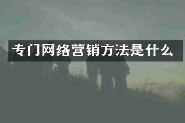 专门网络营销方法是什么
