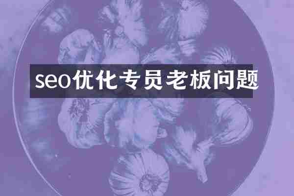 seo优化专员老板问题