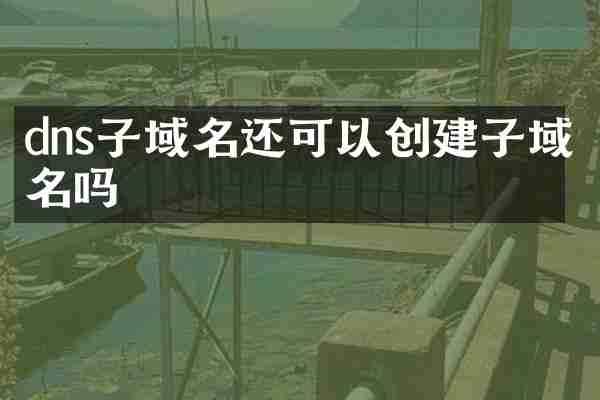dns子域名还可以创建子域名吗