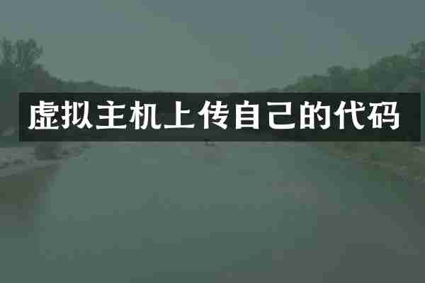 虚拟主机上传自己的代码