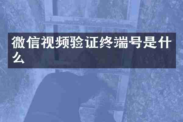 微信视频验证终端号是什么