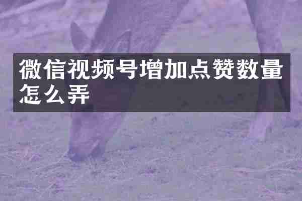 微信视频号增加点赞数量怎么弄