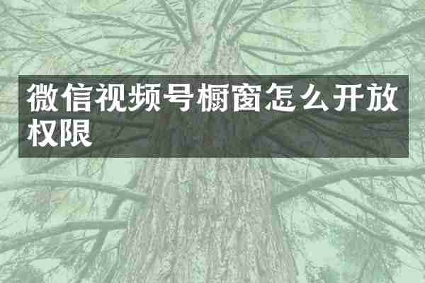 微信视频号橱窗怎么开放权限