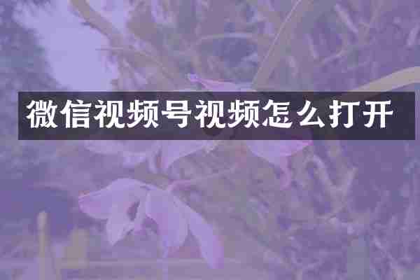 微信视频号视频怎么打开
