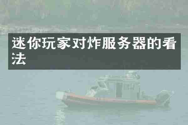 迷你玩家对炸服务器的看法