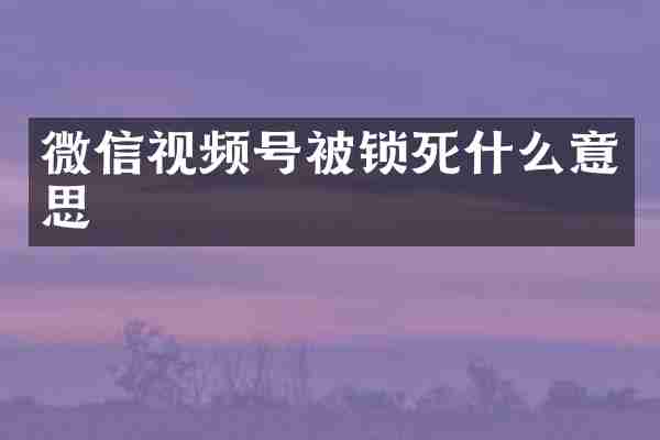 微信视频号被锁死什么意思