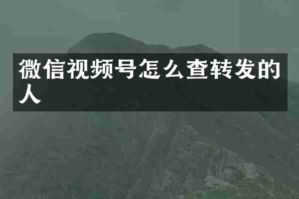 微信视频号怎么查转发的人