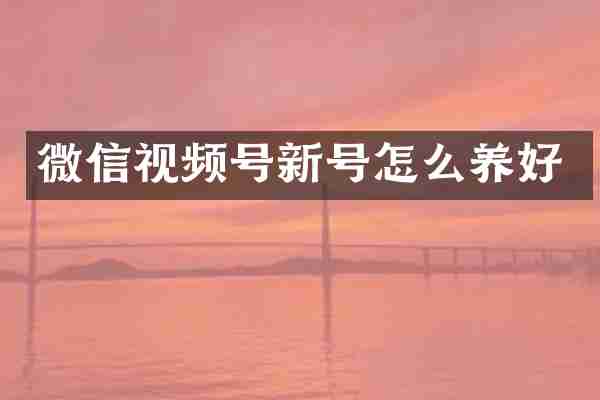 微信视频号新号怎么养好