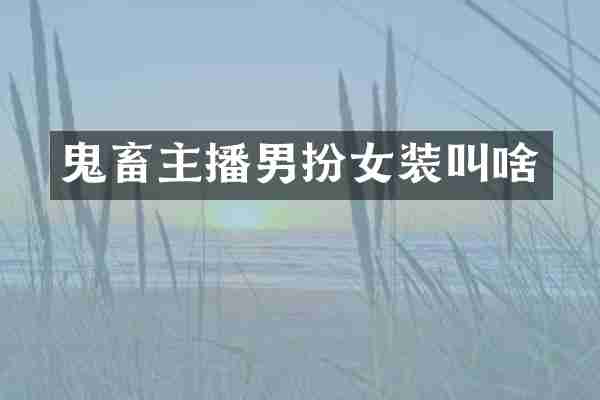 鬼畜主播男扮女装叫啥