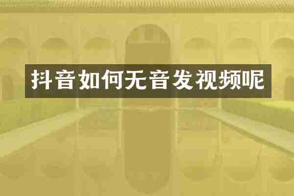 抖音如何无音发视频呢