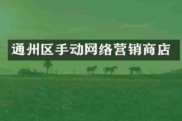通州区手动网络营销商店