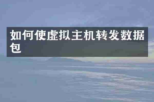 如何使虚拟主机转发数据包