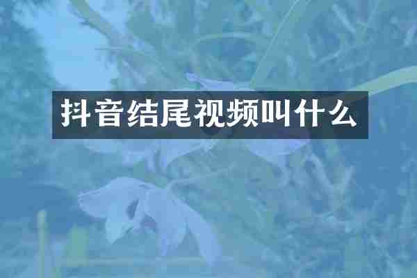 抖音结尾视频叫什么