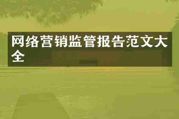 网络营销监管报告范文大全