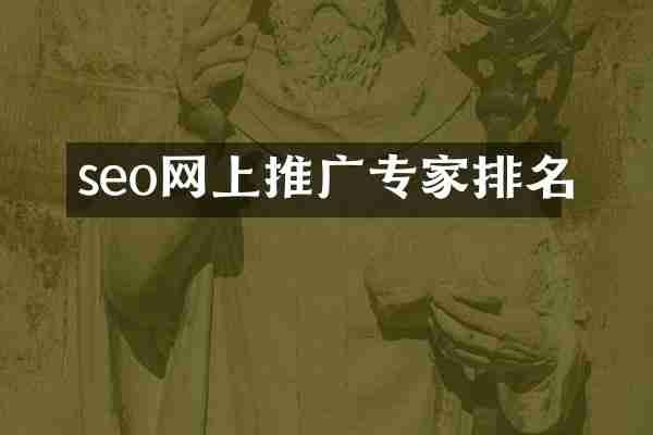 seo网上推广专家排名