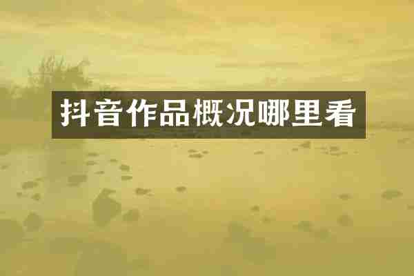 抖音作品概况哪里看