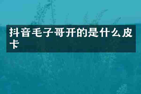 抖音毛子哥开的是什么皮卡