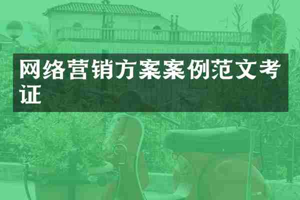 网络营销方案案例范文考证