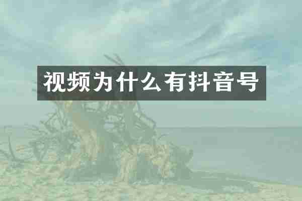 视频为什么有抖音号